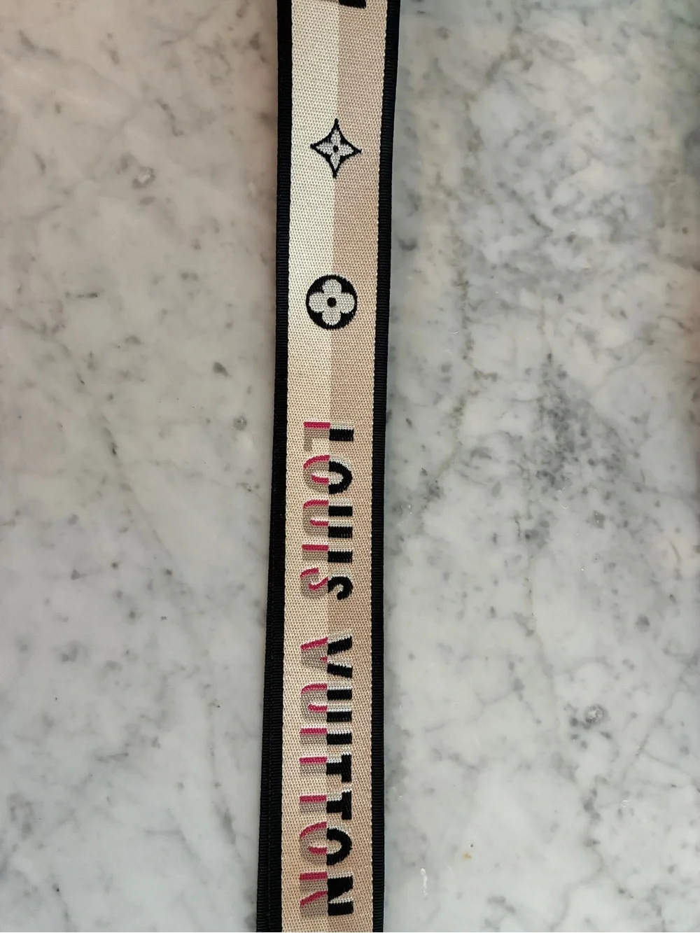 Louis Vuitton detachable louis